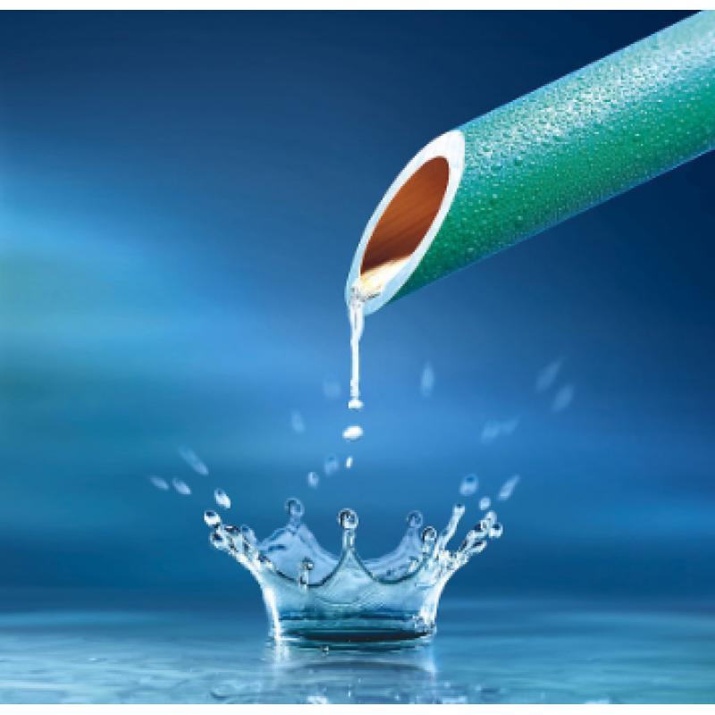 水質(zhì) 氯酸鹽、亞氯酸鹽、溴酸鹽、二氯乙酸和三氯乙酸的測定 離子色譜法