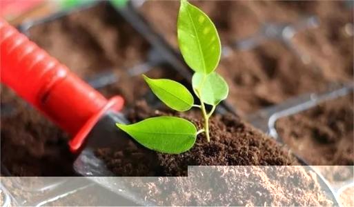 土壤和沉積物 11 種三嗪類農(nóng)藥的測定 高效液相色譜法