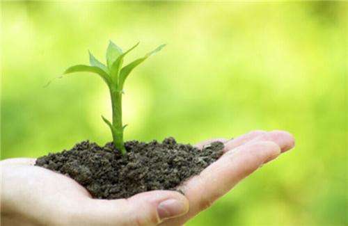 土壤和沉積物 8 種酰胺類農(nóng)藥的測定 氣相色譜-質(zhì)譜法